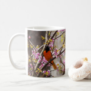 Taza De Café Baltimore Oriole