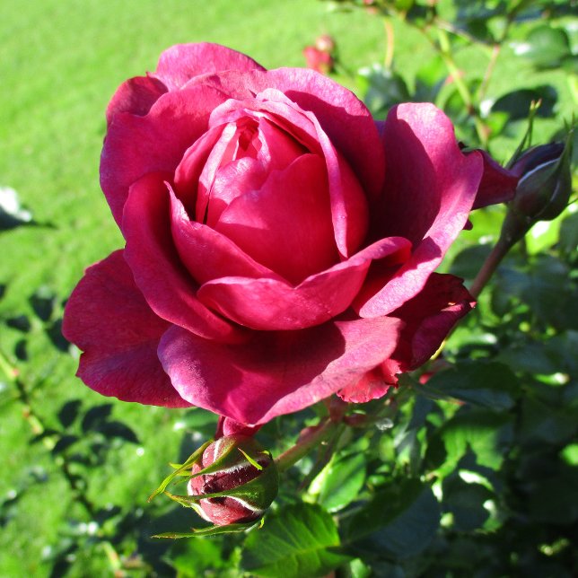 TAZA DE CAFÉ BAR-127 (Subido por el creador)