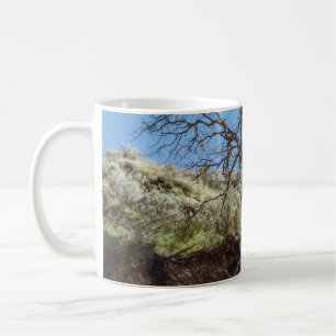 Taza De Café Bare tree on mountain during day
