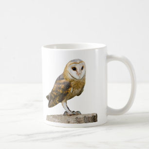 Taza De Café Barn Owl