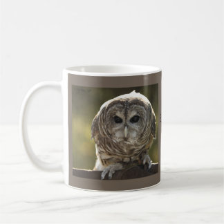 Taza De Café Barred Owl Mug