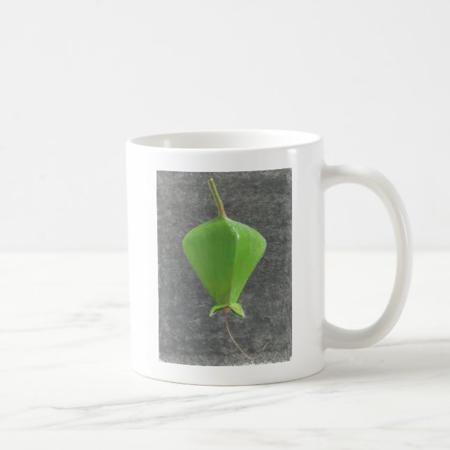Taza De Café Barringtonia Acutangula (Derecha)