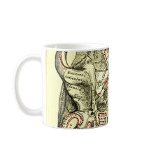 Base de la anatomía del vintage del externo del