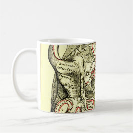 Taza De Café Base de la anatomía del vintage del externo del