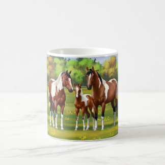 Taza De Café Bay Pinto Paint Quarter Caballos En Pastor De Vera
