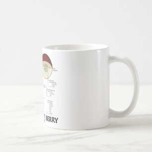 Taza De Café Baya de la uva de vino (anatomía)
