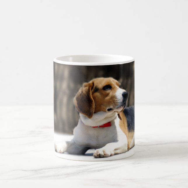 Taza De Café Beagle tricolor (Centro)