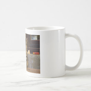 Taza De Café Bebé de gato de tigre adorable