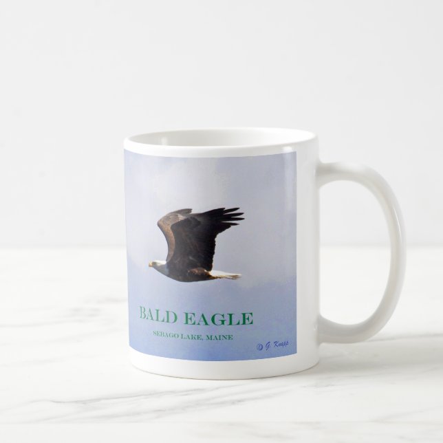 Taza De Café Bebé, extensión-Eagle, y mamá de Eagle calvo en (Derecha)