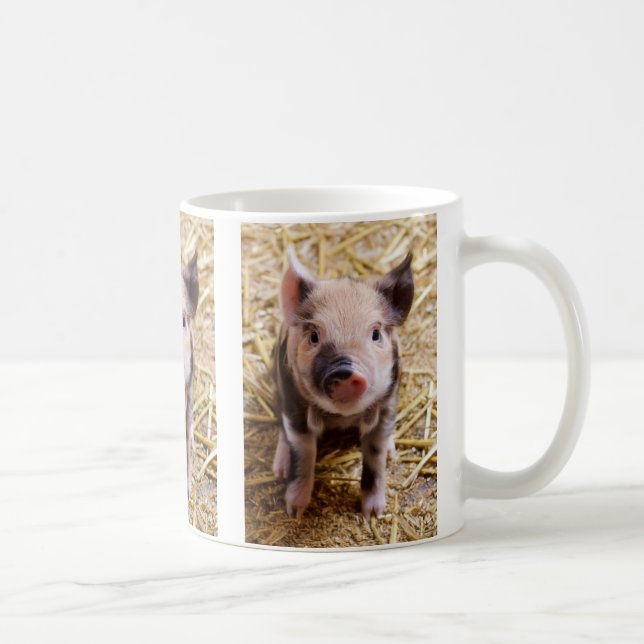 Taza De Café Bebé lindo lechón Granja de animales Barnyard Babi (Derecha)