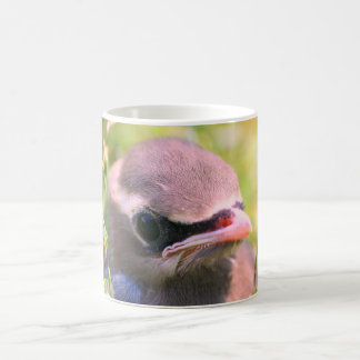 Taza De Café Bebé Waxwing Bird Face Nature Personalizada