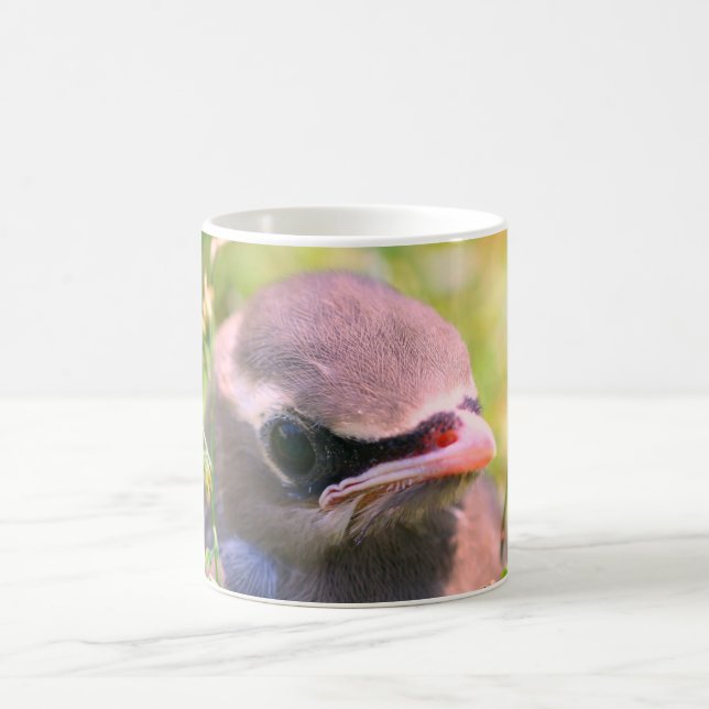 Taza De Café Bebé Waxwing Bird Face Nature Personalizada (Centro)