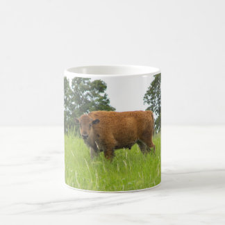 Taza De Café Becerro del búfalo