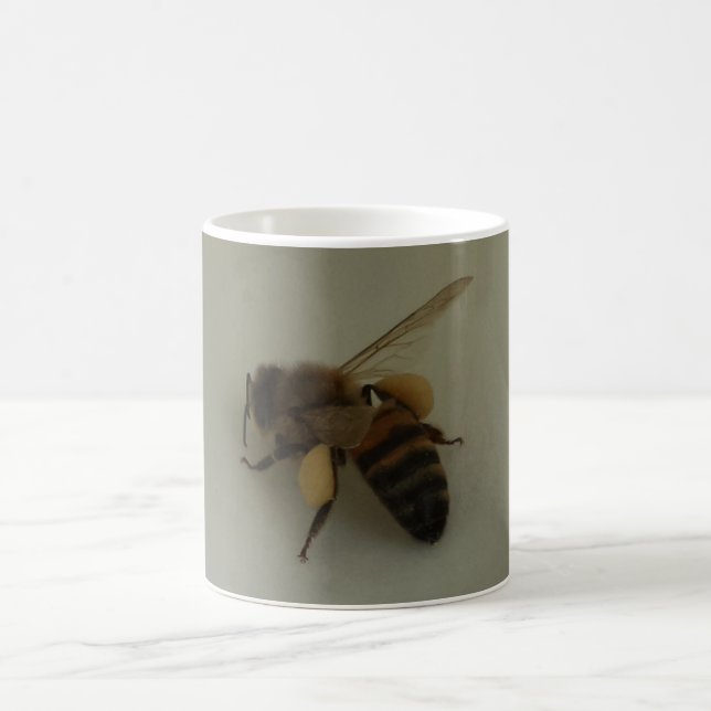 Taza De Café Bee Honey White Coffee Mug (Centro)