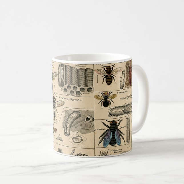 Taza De Café Bee Insect Bug Wasp Naturaleza Abejas Pintura (Anverso derecho)