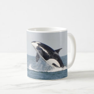 Taza De Café Bella ballena asesina