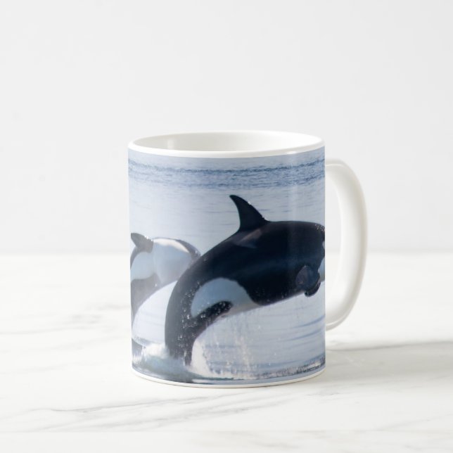 Taza De Café Bellas ballenas asesinas (Anverso derecho)