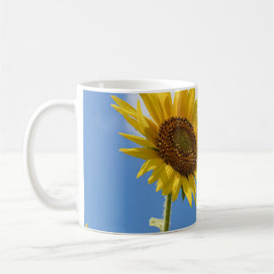 Taza De Café bellas flores solares con cielo azul turbio
