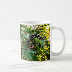 Taza De Café Bellas negras