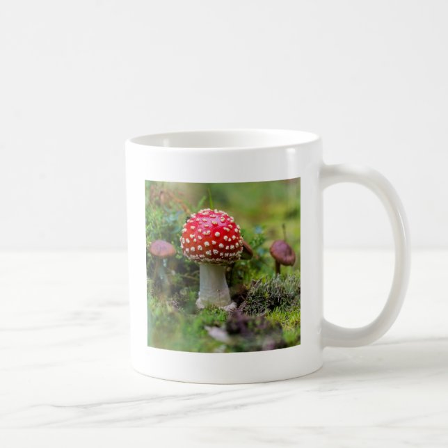 Taza De Café Belleza de otoño (Derecha)