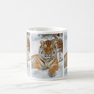 Taza De Café Belleza del tigre en nieve