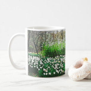 Taza De Café 💐 ↷ Bellos Daffodis Fabulous Classic