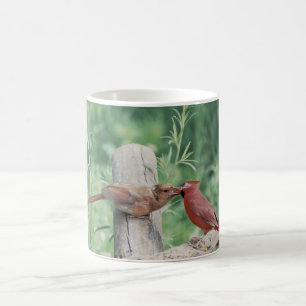 Taza De Café Besar a cardenales