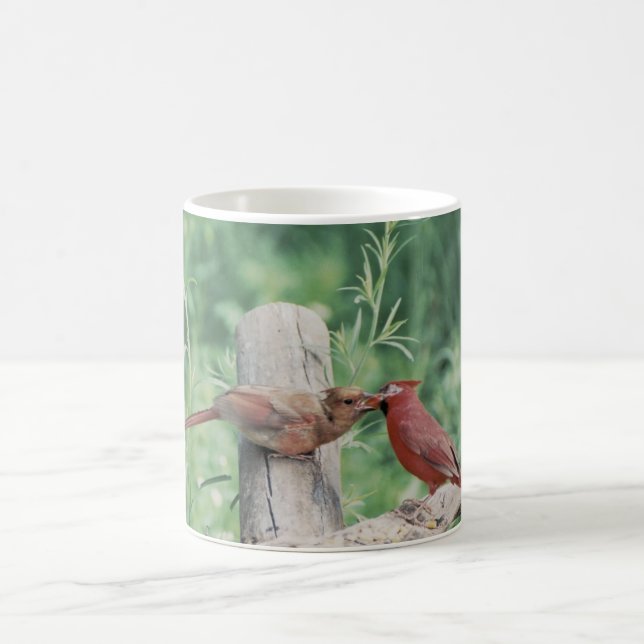 Taza De Café Besar a cardenales (Centro)