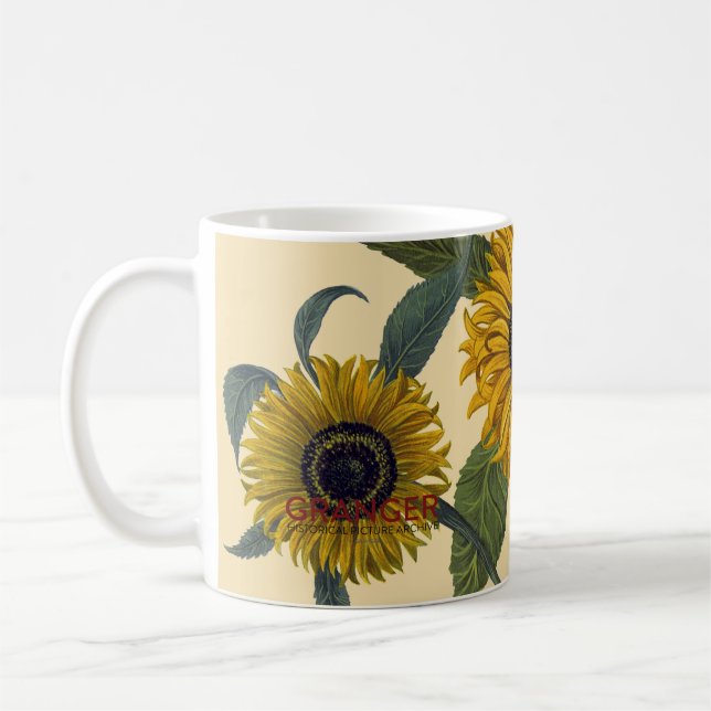 Taza De Café Besler: Girasol (Izquierda)