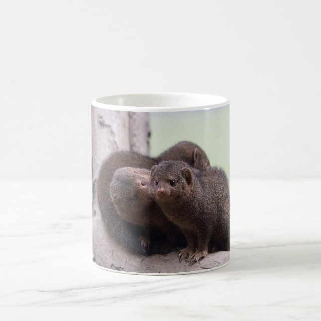 Taza De Café Beso enano de la mangosta (Centro)