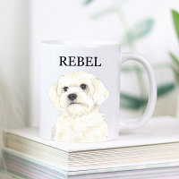 Bichón, boloñés, algodón, hispano, maltés