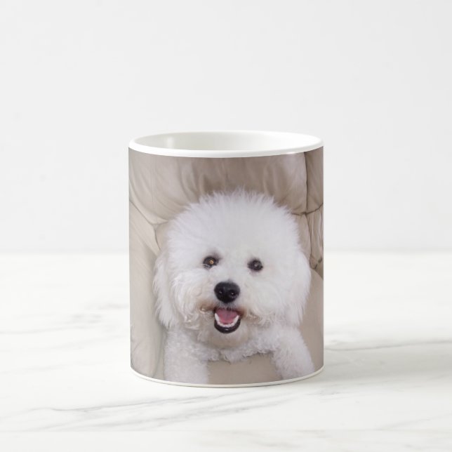 Taza De Café Bichon Frise (Centro)