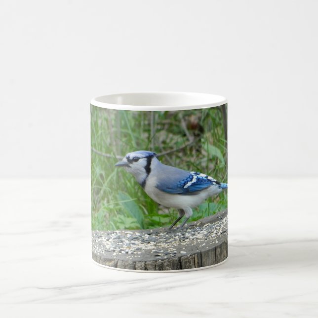 Taza De Café Big Blue Jay Mug (Centro)