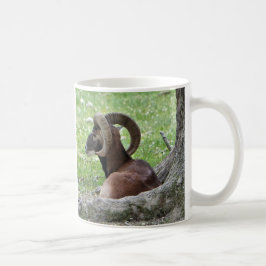 Taza De Café Bighorn Mug