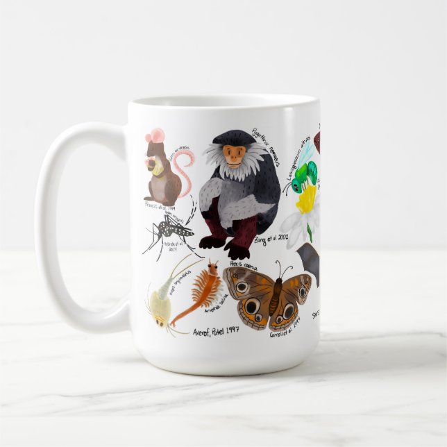 Taza De Café BIOL459 Modelo de clasificación de organismos (Izquierda)