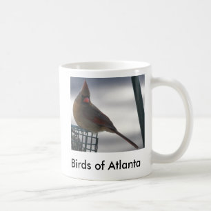 Taza De Café bird5, pájaros de Atlanta