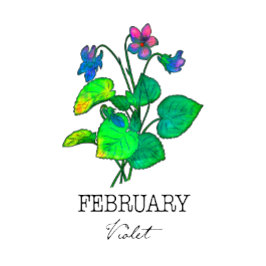 Taza De Café Birth Month Febrero Violet