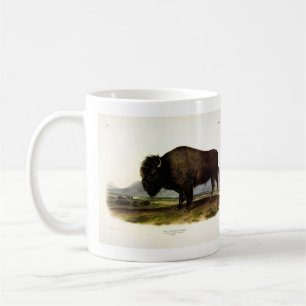Taza De Café Bison Americano, o Búfalo (Bison bison) - Audubon