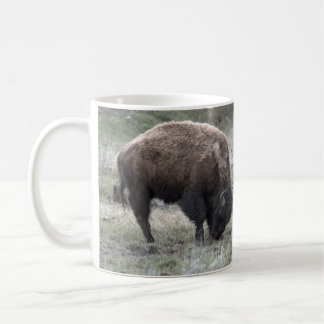 Taza De Café Bison Buffalo Coffee Mug