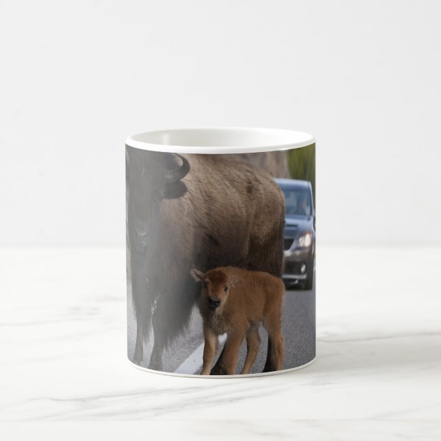 Taza De Café Bison Calf Roadblock (Centro)