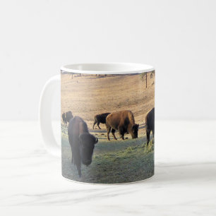 Taza De Café Bison en Colorado