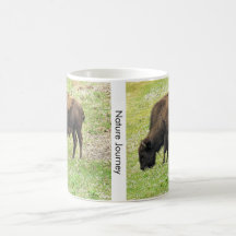 Bison on a Mug