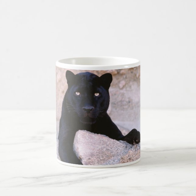 Taza De Café Black Cat Coffee Mug (Centro)