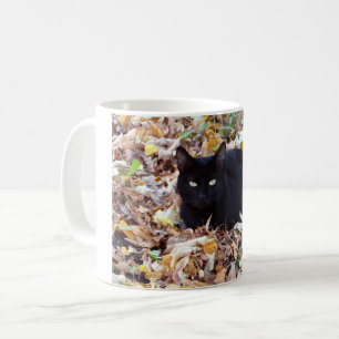 Taza De Café Black Cat foto de otoño Classic White Mug
