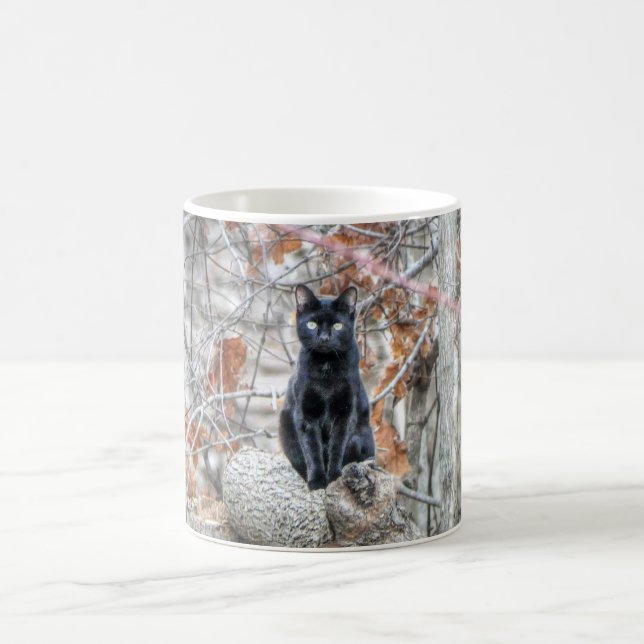 Taza De Café Black Cat Sitting Outdoors (Centro)