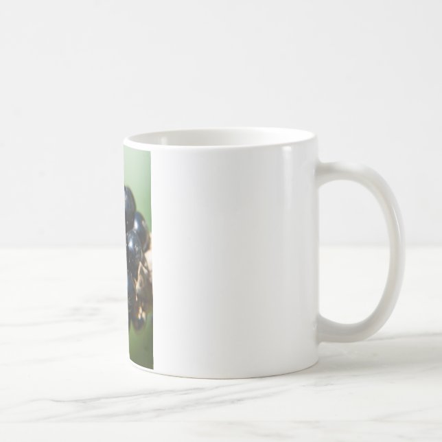 Taza De Café Blackberries (Derecha)