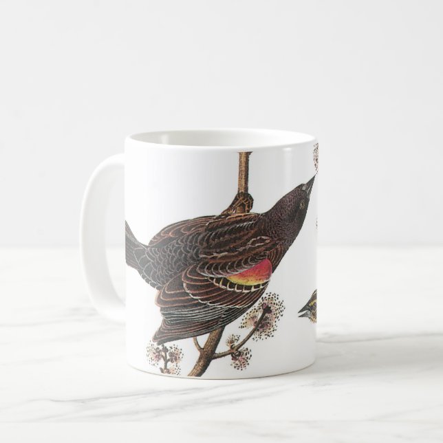 Taza De Café Blackbird de ala roja de Audubon (Anverso izquierdo)