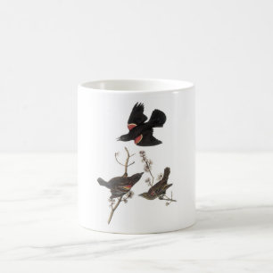 Taza De Café Blackbird de ala roja de Audubon