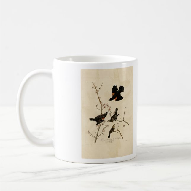 Taza De Café Blackbird de alas rojas - Los pájaros de América d (Izquierda)