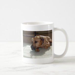 Taza De Café blackmouth cur acostado